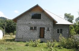 Vila zona montana - localitatea RUNCU 