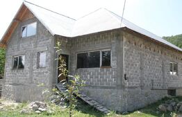 Vila zona montana - localitatea RUNCU 