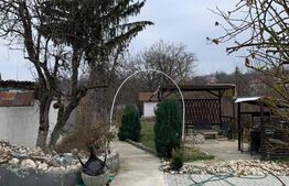 Casa individuala 240mp, teren 1860mp, Sotanga