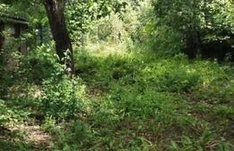 Casă 2 camere, 40mp, teren 704mp, Răzvad