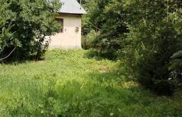 Casă 2 camere, 40mp, teren 704mp, Răzvad