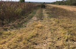 Teren 3222 mp, zona Dragomiresti