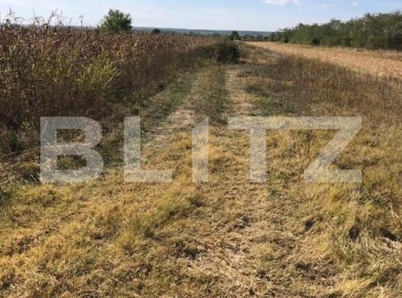 Teren de vânzare Exterior Vest - 143299TV | BLITZ Târgoviște | Poza1