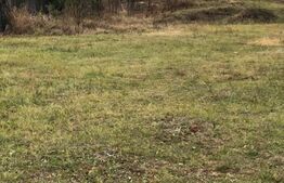 Oferta investitie!Teren intravilan 1600mp - Priseaca