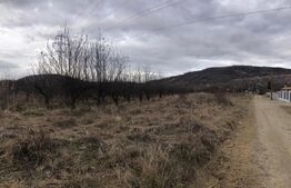 Teren intravilan, 1037 mp, Viforata