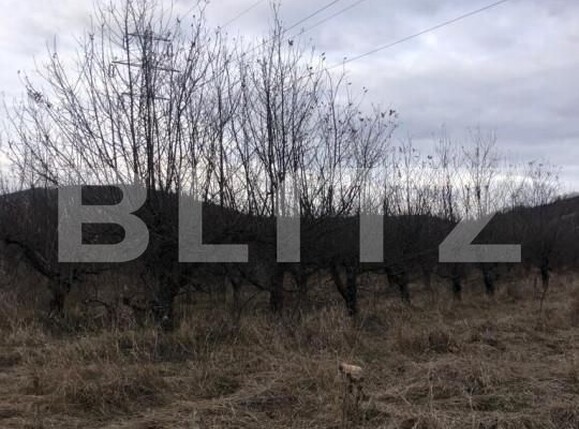 Teren de vânzare Nord-Est - 143303TV | BLITZ Târgoviște | Poza1