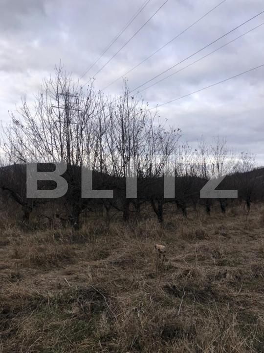 Teren de vânzare Nord-Est - 143303TV | BLITZ Târgoviște | Poza1