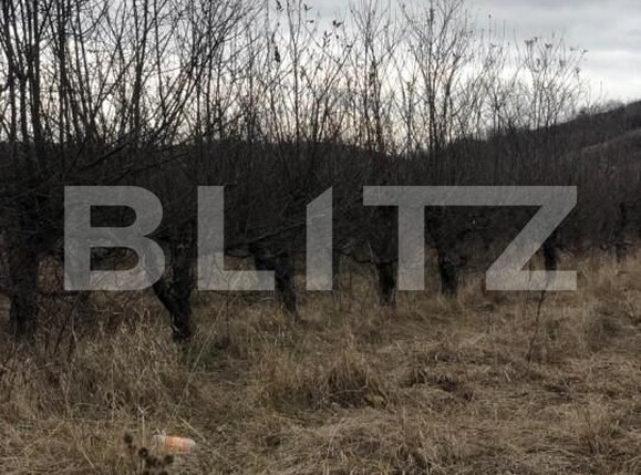Teren de vânzare Nord-Est - 143304TV | BLITZ Târgoviște | Poza1