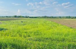 Teren 5500mp extravilan,Sat Dimoiu