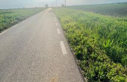 Teren 5500mp extravilan,Sat Dimoiu