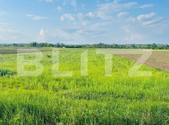 Teren de vânzare Exterior Vest - 143355TV | BLITZ Târgoviște | Poza1