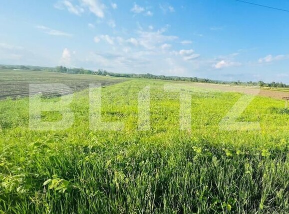 Teren de vânzare Exterior Vest - 143355TV | BLITZ Târgoviște | Poza2