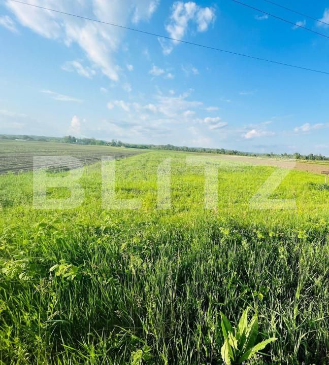 Teren de vânzare Exterior Vest - 143355TV | BLITZ Târgoviște | Poza2