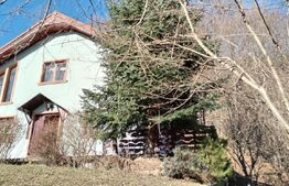 Vilă de lux pretabilă pentru pensiune, 4 camere, 180mp, Șuvița