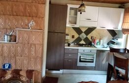 Vilă de lux pretabilă pentru pensiune, 4 camere, 180mp, Șuvița