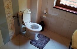 Vilă de lux pretabilă pentru pensiune, 4 camere, 180mp, Șuvița