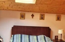 Vilă de lux pretabilă pentru pensiune, 4 camere, 180mp, Șuvița