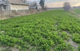 Teren Intravilan 3250mp, zona Mogosesti