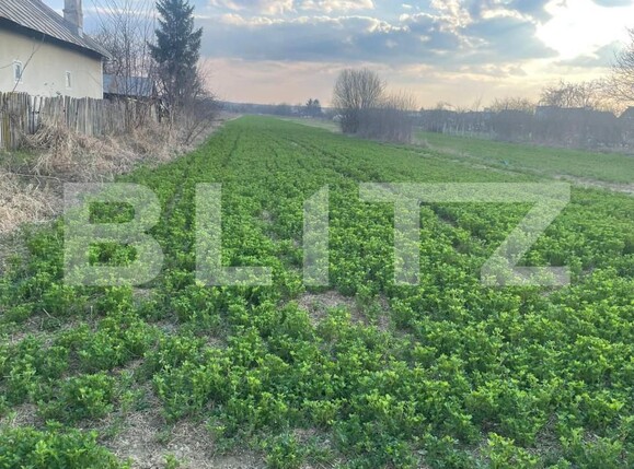 Teren de vânzare Sud-Vest - 143418TV | BLITZ Târgoviște | Poza2