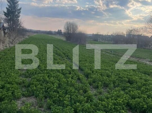 Teren de vânzare Sud-Vest - 143418TV | BLITZ Târgoviște | Poza4