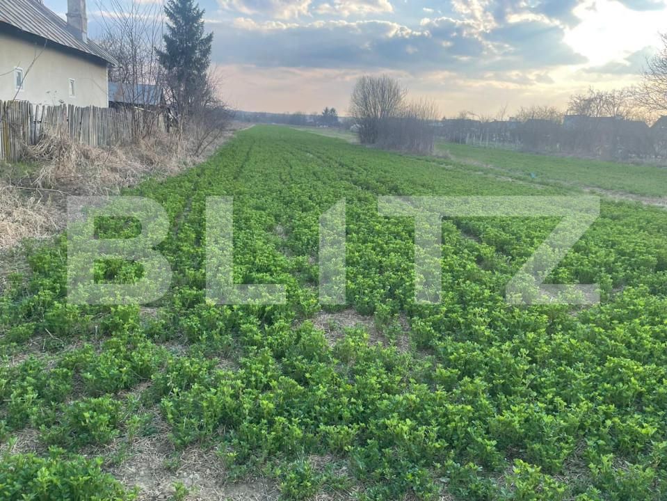 Teren de vânzare Sud-Vest - 143418TV | BLITZ Târgoviște | Poza2