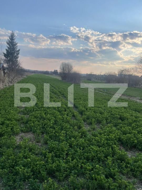 Teren de vânzare Sud-Vest - 143418TV | BLITZ Târgoviște | Poza4