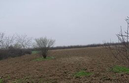 Casa individuala 95mp, teren 6100mp, Titu