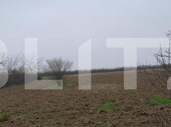 Casa de vânzare 4 camere Sud - 143419CV | BLITZ Târgoviște | Poza10