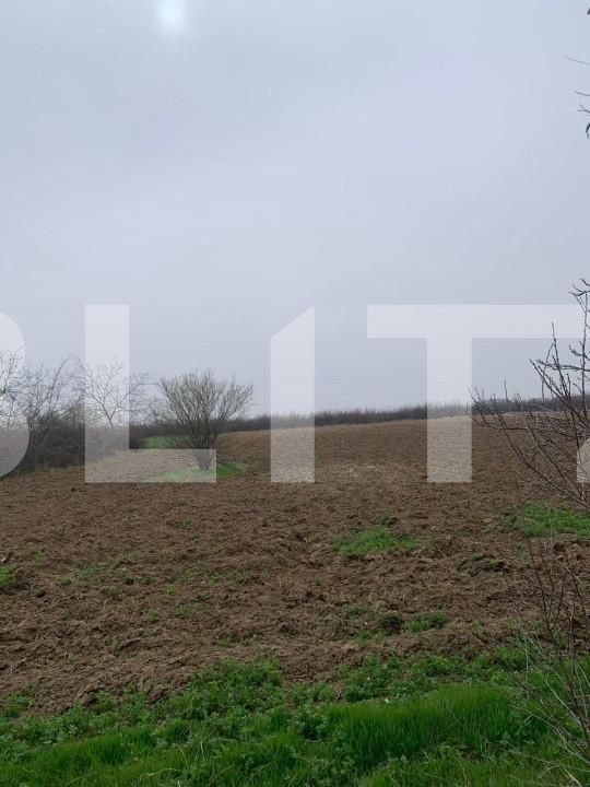 Casa de vânzare 4 camere Sud - 143419CV | BLITZ Târgoviște | Poza10