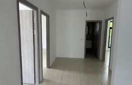Casă pe structură metalică 3 camere  141 mp utili, teren 900mp, Razvad