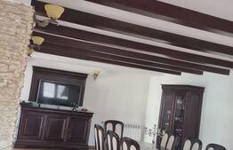 Vilă 7 camere, 240mp, 1253mp teren, Fieni