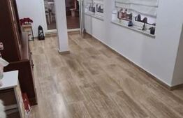 Vilă 7 camere, 240mp, 1253mp teren, Fieni