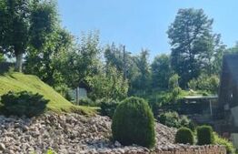 Vilă 7 camere, 240mp, 1253mp teren, Fieni