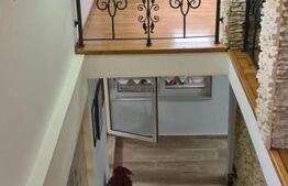 Vilă 7 camere, 240mp, 1253mp teren, Fieni