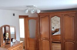Vilă 7 camere, 240mp, 1253mp teren, Fieni