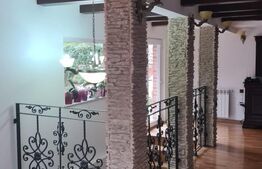 Vilă 7 camere, 240mp, 1253mp teren, Fieni