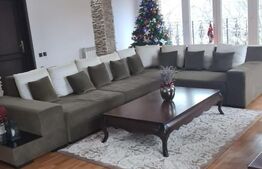 Vilă 7 camere, 240mp, 1253mp teren, Fieni