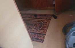 Casă de vacanță Aninoasa