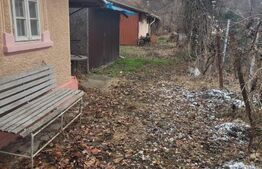 Casă de vacanță Aninoasa