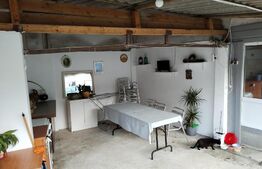 Ocazie... casă familială 103mp utili, 770mp teren Răzvad