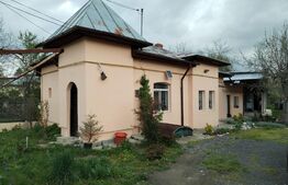 Ocazie... casă familială 103mp utili, 770mp teren Răzvad