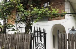  Casa P+M, 5camere , 150mp, zona Gaesti