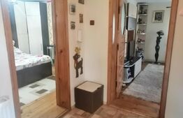 Casă individuală 88 mp, teren 1752 mp, Priboiu