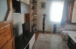 Casă individuală 88 mp, teren 1752 mp, Priboiu