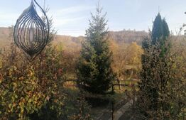 Casă individuală 88 mp, teren 1752 mp, Priboiu