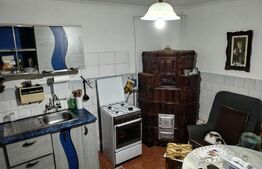 Oportunitate se schimbă vilă Ulmi cu casa mai mica in Targoviște