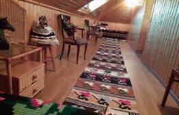 Vila de vanzare, oras Pucioasa