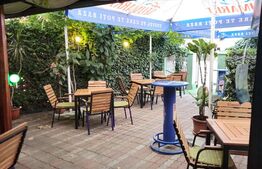 Spatiu comercial, 100 mp, terasa, Bld. Castanilor