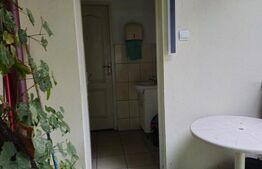 Spatiu comercial, 100 mp, terasa, Bld. Castanilor