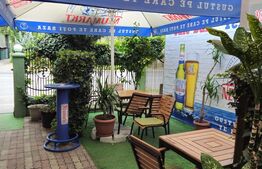 Spatiu comercial, 100 mp, terasa, Bld. Castanilor